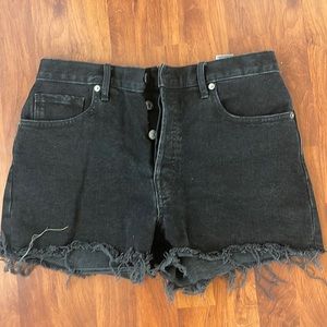Everlane Cheeky Shorts - Brand New!